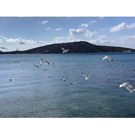 Akrogialli Apartmán *