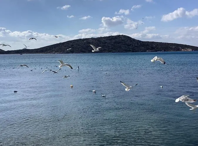 Akrogialli Apartament *